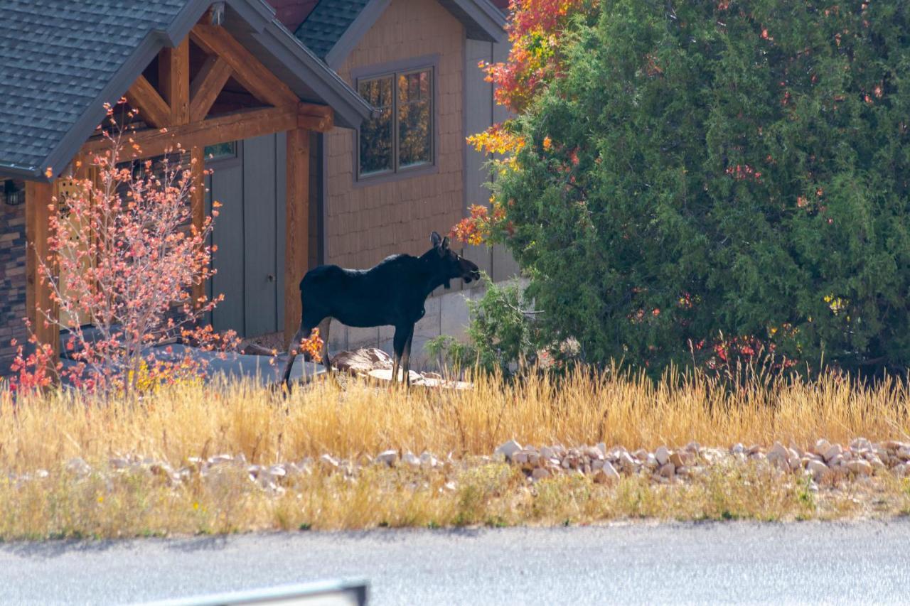 Bear Country Cabin #2 Otel Saint Charles Dış mekan fotoğraf